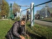 Волонтеры отряда приводят в порядок аллею